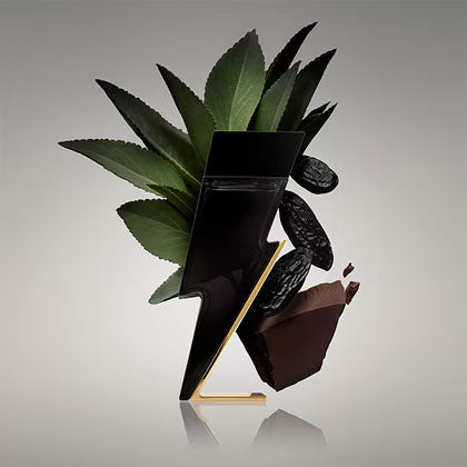 Bad Boy Eau de Toilette Spray