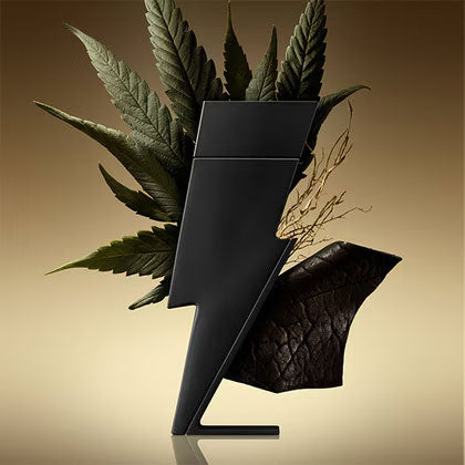 Bad Boy Le Parfum Eau de Parfum Spray