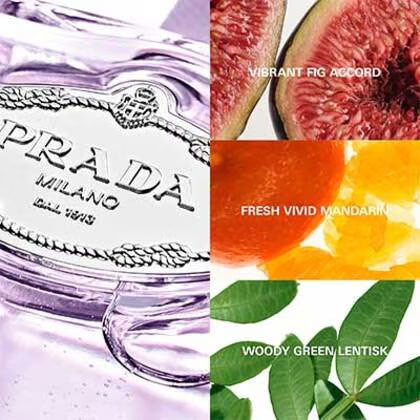 Infusion de Figure Eau de Parfum Spray