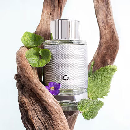 Explorer Platinum Eau de Parfum Spray