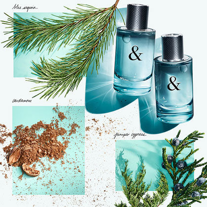 Tiffany & Love for Him Eau de Toilette Spray