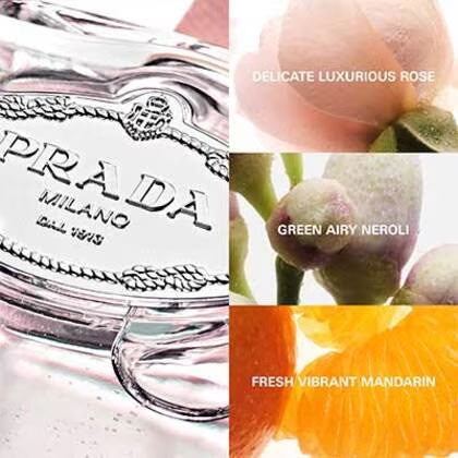 Les Infusion Rose Eau de Parfum Spray