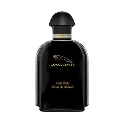 Gold In Black Eau de Toilette Spray