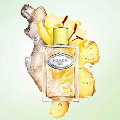 Infusion de Gingembre Eau de Parfum Spray