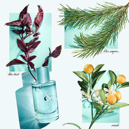 Tiffany & Love for Her Eau de Parfum Spray