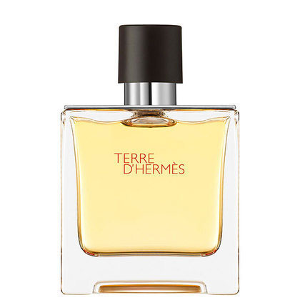 Terre d'Hermès Parfum Spray
