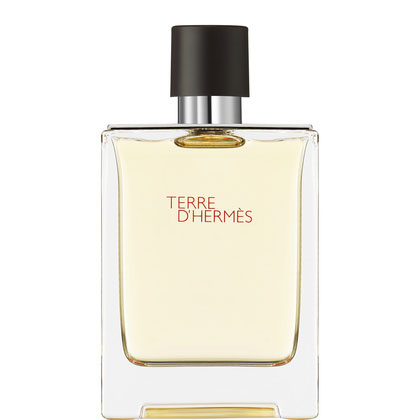 Terre d'Hermès Eau de Toilette Spray