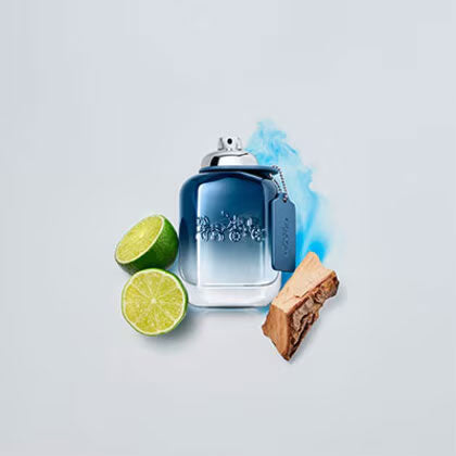 Coach Blue Eau de Toilette Spray